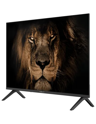 TV Nevir 7803 24 pulgadas HD compacta: 2 HDMI, 2 USB y 60 Hz