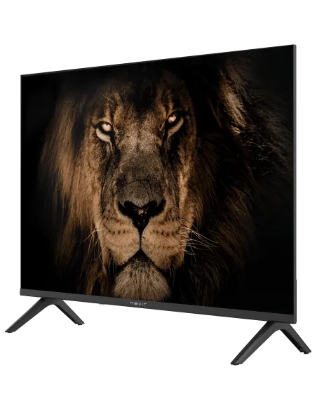 TV Nevir 7803 24 pulgadas HD compacta: 2 HDMI, 2 USB y 60 Hz