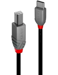 Lindy 36942 Cable USB-C a USB-B 2Metros Negro-1407112