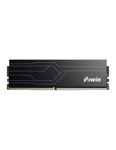 Biwin HW100 DDR4 16GB 3200 MHz CL16 Negro