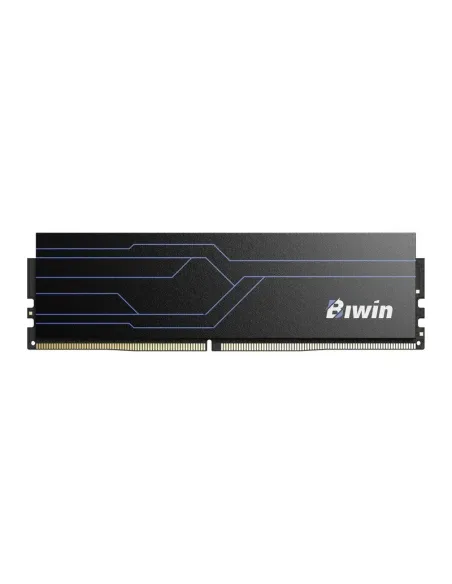 Biwin HW100 DDR4 16GB 3200 MHz CL16 Negro