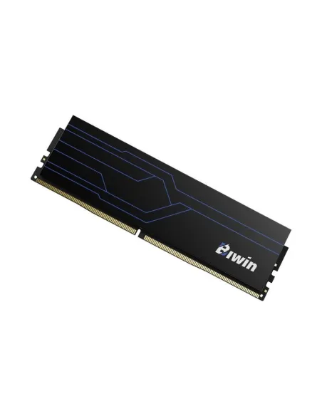 Kit de memoria RAM Biwin HW100 16GB DDR4 3200MHz CL16 negra