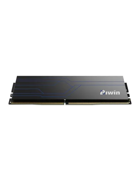 Kit de memoria RAM Biwin HW100 16GB DDR4 3200MHz CL16 negra