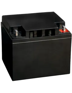 Bosch IPS-BAT12V-45AH Batería de Emergencia 12V 38-45Ah-1376948