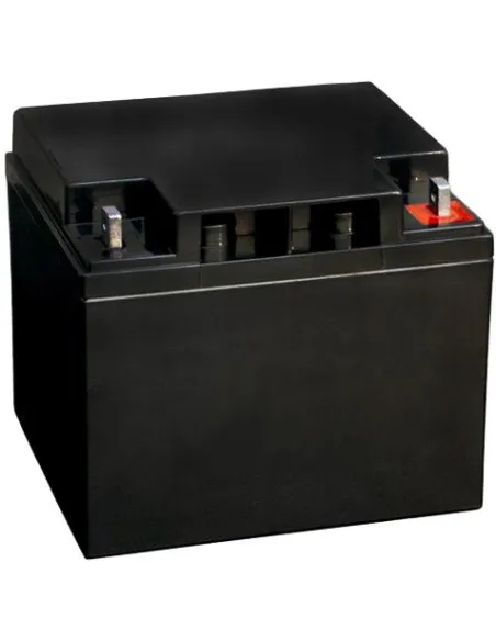 Bosch IPS-BAT12V-45AH Batería de Emergencia 12V 38-45Ah