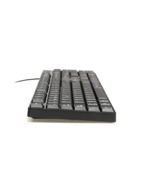 Iggual CK-FRAMLESS-105T Teclado USB Negro