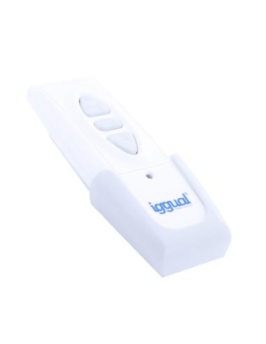 Iggual PSIPS234 Pantalla de Proyección Eléctrica 106"