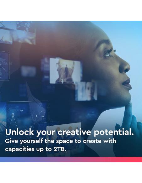 Western Digital Blue SN550 1TB SSD PCIe NVMe