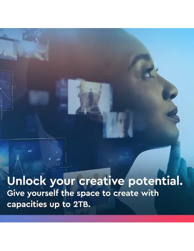 Western Digital Blue SN550 250GB SSD PCIe NVMe