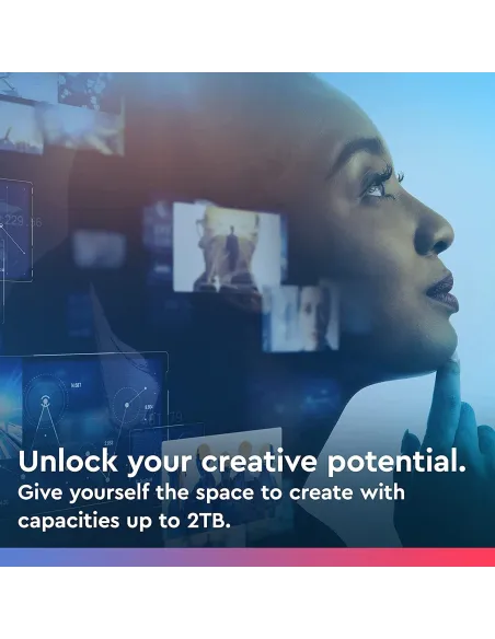 Western Digital Blue SN550 250GB SSD PCIe NVMe