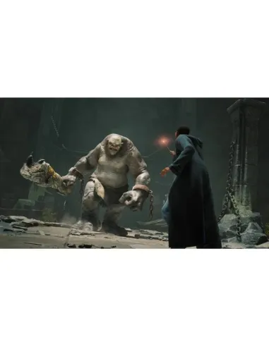 Sony PlayStation 5 Chasis C + Hogwarts Legacy Standard