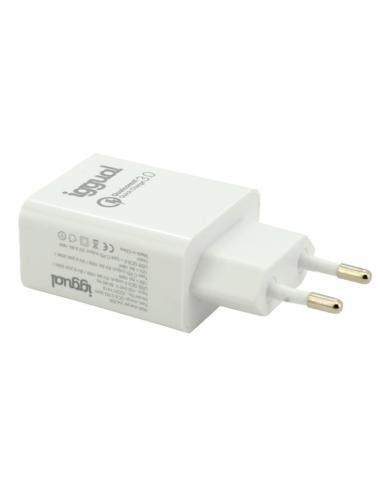 iggual Cargador doble USB QC3.0 + Tipo C PD 20W