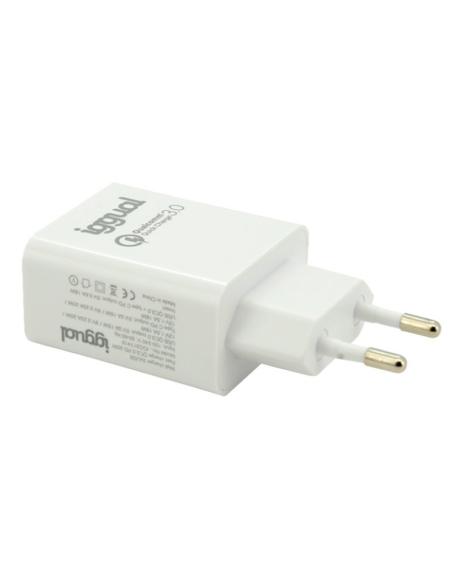 iggual Cargador doble USB QC3.0 + Tipo C PD 20W