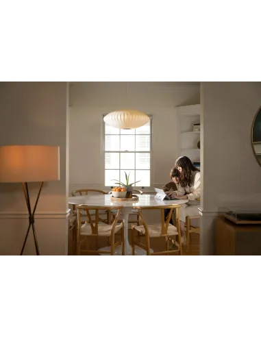 Microsoft Surface Go 2 Intel Pentium Gold TGF-00004/4GB/64GB/10.5" Táctil W10 Home