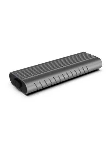 Ewent EW7025 Caja para Disco Duro Externo  SSD M.2 Gris