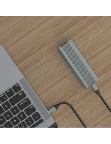 Ewent EW7025 Caja para Disco Duro Externo  SSD M.2 Gris