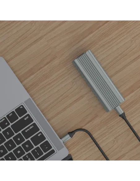 Ewent EW7025 Caja para Disco Duro Externo  SSD M.2 Gris