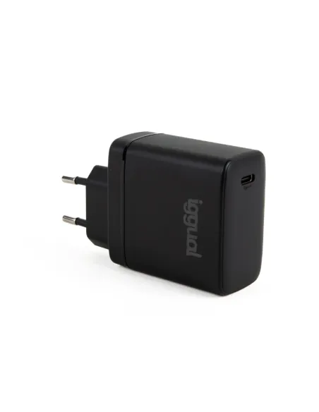 iggual Cargador Rápido USB-C 45W GaN