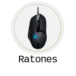 ratones