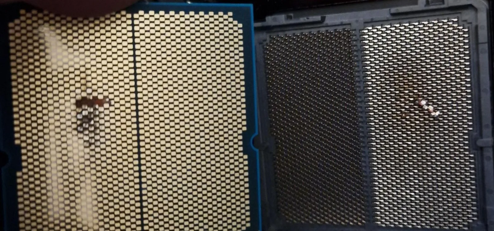 AMD Ryzen 7 9800X3D en peligro: Usuarios reportan casos de quemaduras en la CPU