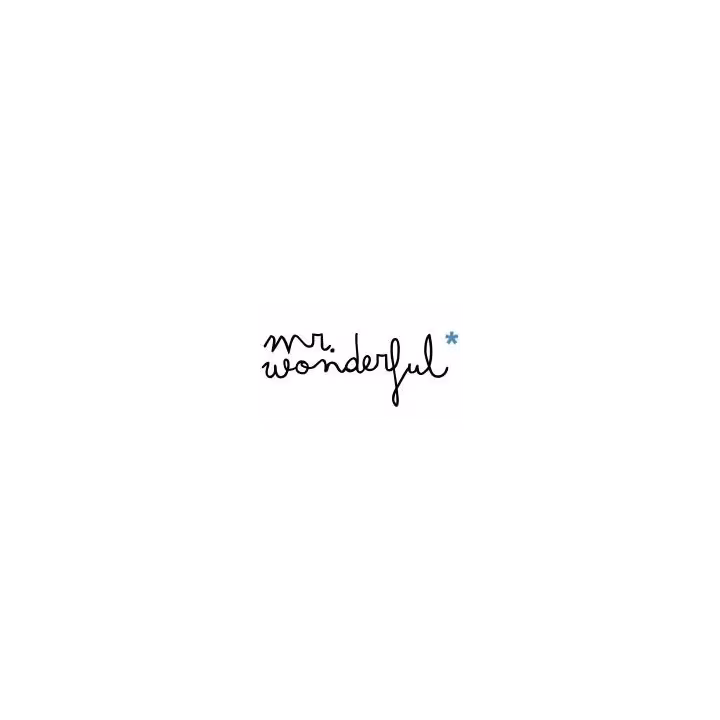 MR WONDERFUL