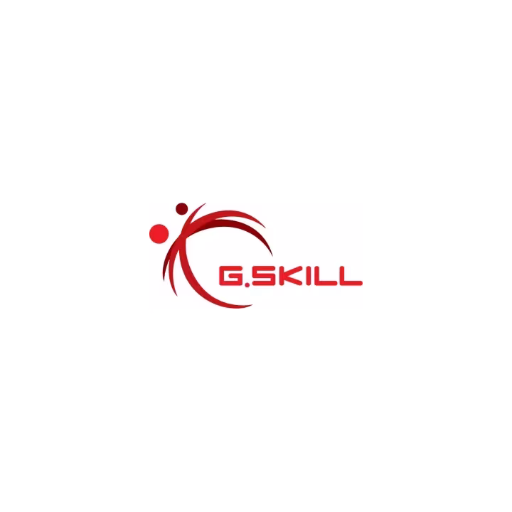 G.SKILL