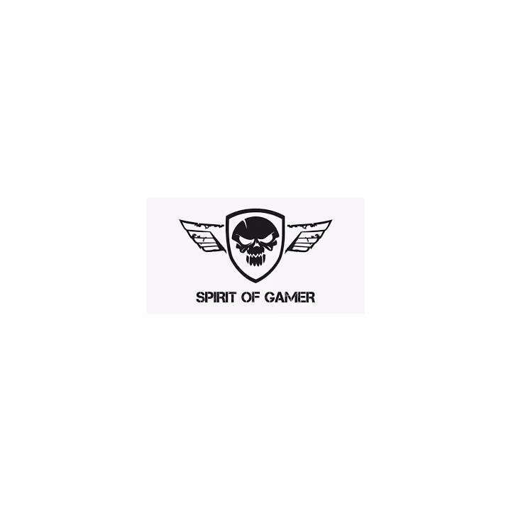 SPIRIT OF GAMER