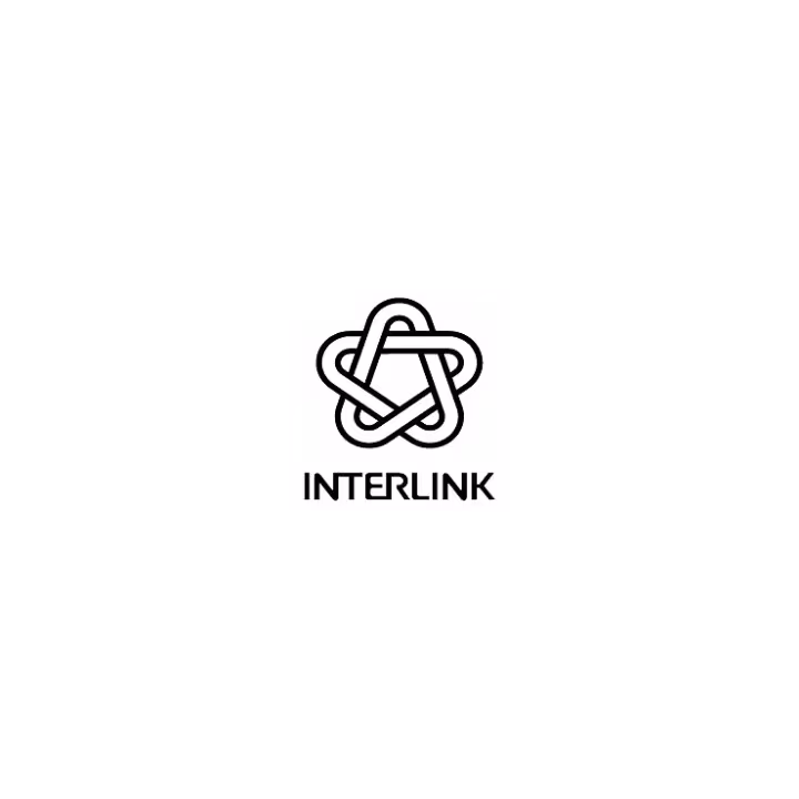 INTERLINK
