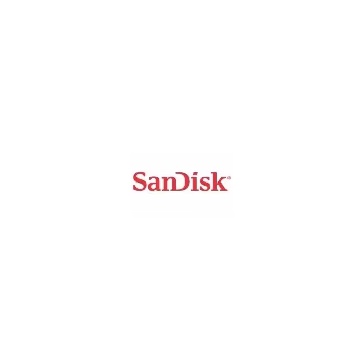 SANDISK