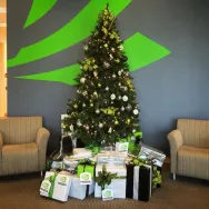 NVIDIA RTX 50 SUPER: las nuevas gráficas llegarán en Navidad con hasta 24 GB de VRAM